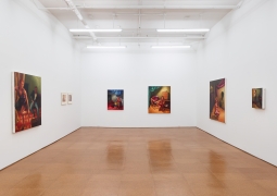 Hugh Steers,&nbsp;installation view, Alexander Gray Associates, 2013