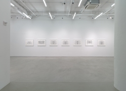 Luis Camnitzer: The Mediocrity of Beauty, installation view, Alexander Gray Associate, 2015