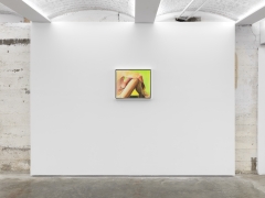 Joan Semmel:&nbsp;A Balancing Act&nbsp;, Installation view
