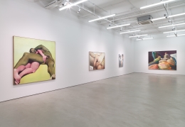 Joan Semmel: Across Five Decades, Installation View, Alexander Gray Associates, 2015