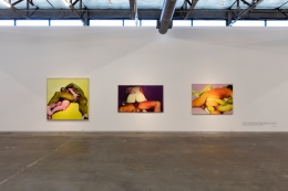 Installation view: Black Sheep Feminism: The Art of Sexual Politics, Dallas Contemporary, TX, 2016
