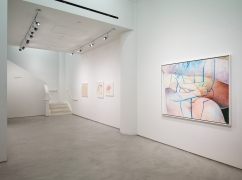 Joan Semmel: New Work, installation view, Alexander Gray Associates, 2016