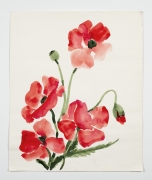 Poppies, from the &quot;Florals&quot; series [057], c. 1983, Watercolor On Paper