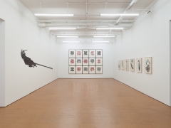 Regina Silveira,&nbsp;Installation view, Alexander Gray Associates, 2013