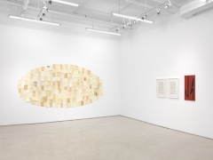 Between the Lines, Installation view
