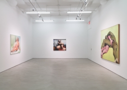 Joan Semmel: Across Five Decades, Installation View, Alexander Gray Associates,&nbsp;2015