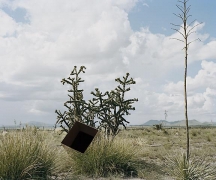 Single Cube Formation, No. 3, Marfa, TX (2011)
