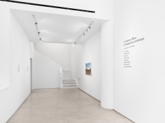 Installation view:&nbsp;To Name a Place: Contemporary Landscape, Curated by Anna Stothart, Alexander Gray Associates, New York, 2022