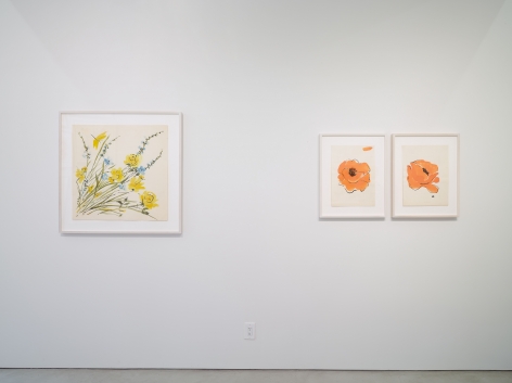 Vera Paints a Summer Bouquet, installation view, Alexander Gray Associates, 2014