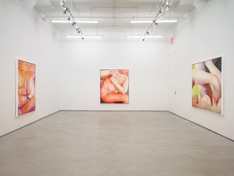 Joan Semmel: New Work, installation view, Alexander Gray Associates, 2016