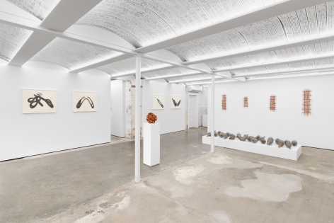 Hassan Sharif and Regina Silveira: Between Perception and the World, Installation view