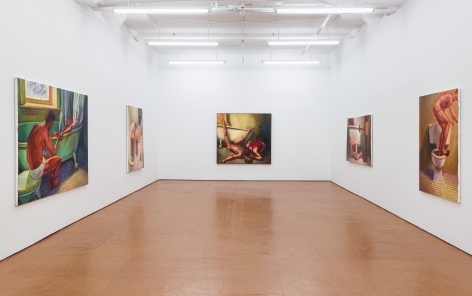 Hugh Steers,&nbsp;installation view, Alexander Gray Associates, 2013