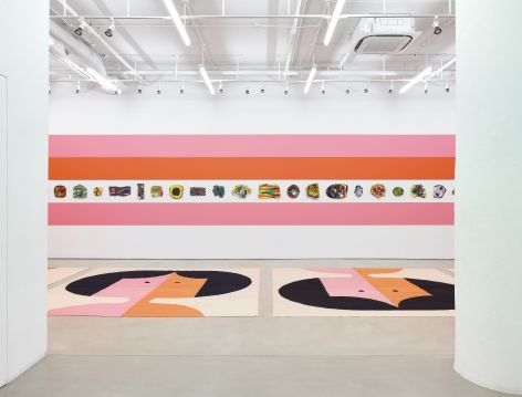 Polly Apfelbaum: The Potential of Women, installation view, Alexander Gray Associates (2017)